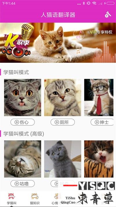 人猫语翻译器最新版,人猫语翻译器软件