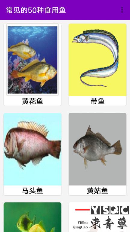 同聚元鱼类烹饪指南手机版,同聚元鱼类烹饪指南软件