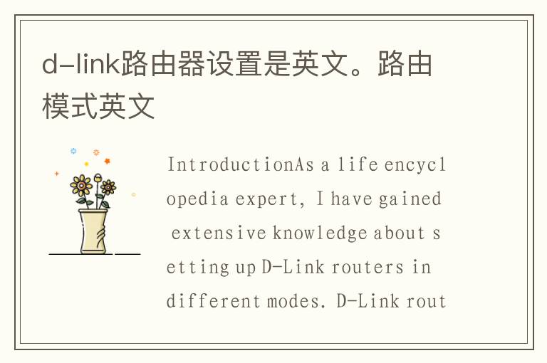 d-link路由器设置是英文。路由模式英文